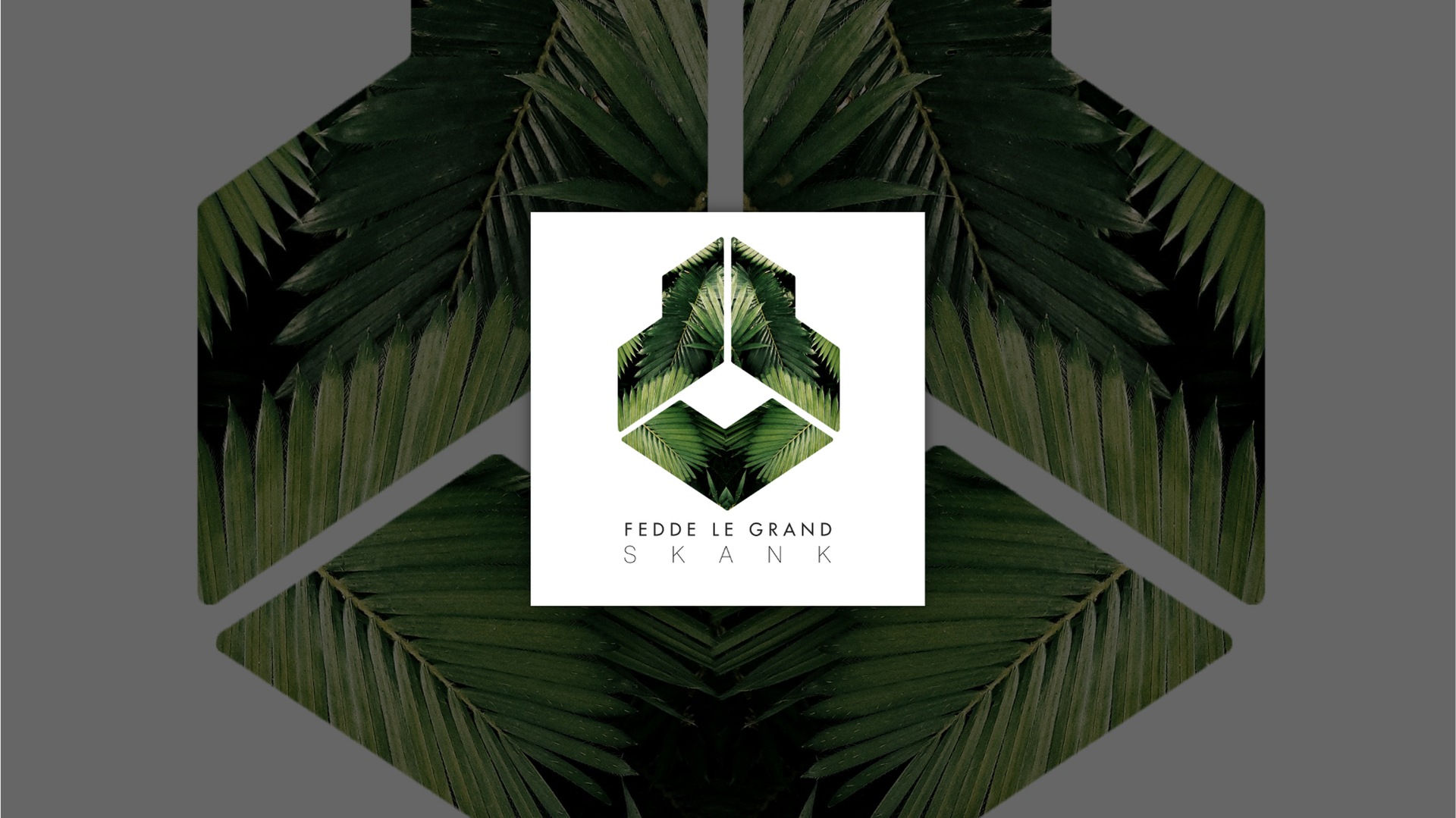 OUT NOW: FEDDE LE GRAND - SKANK